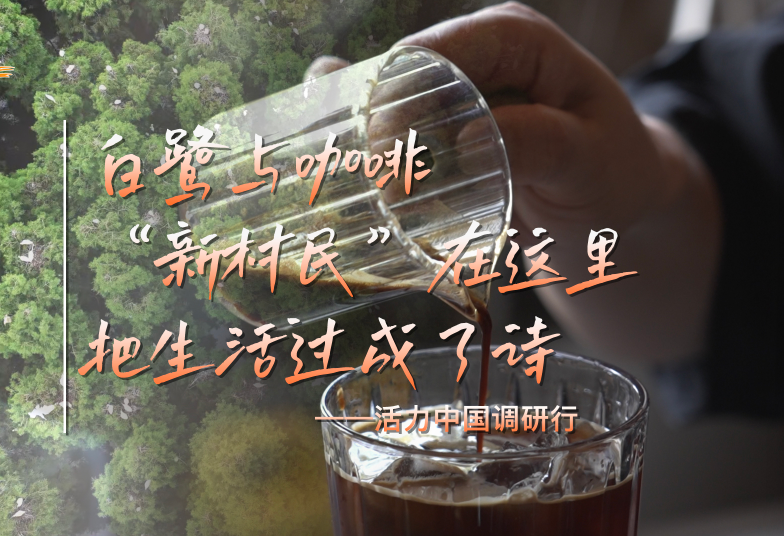 活力中国调研行｜白鹭与咖啡，“新村民”在这里把生活过成了诗
