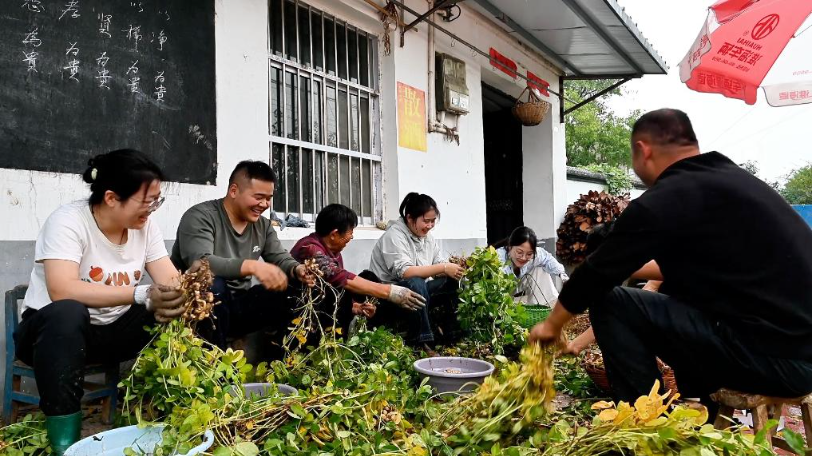 秋收进行时——多地丰产图景与乡村振兴中的奋斗力量