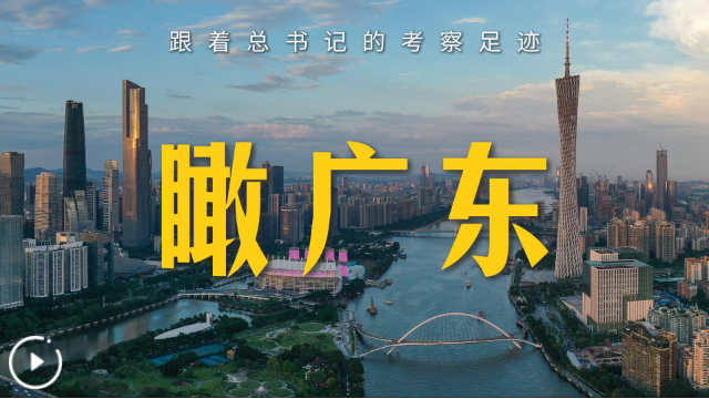 跟着总书记的考察足迹丨瞰广东