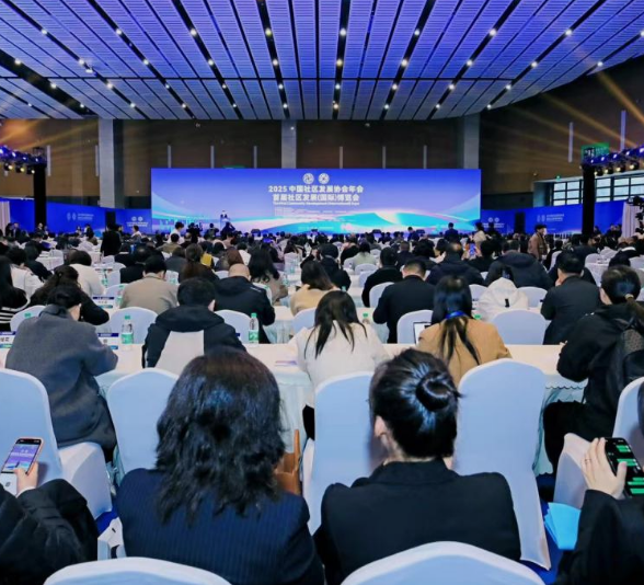 桥——对“首届社区发展（国际）博览会”举办的深度思考