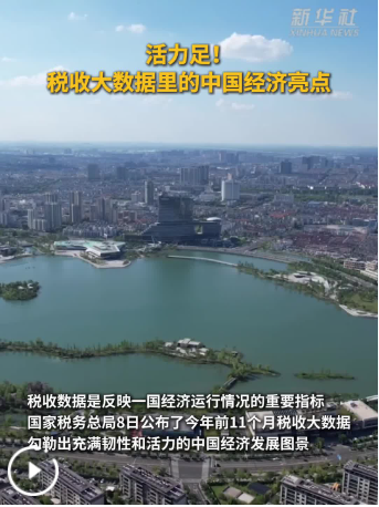 活力足！税收大数据里的中国经济亮点