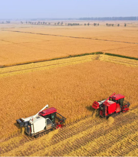 2025中国经济回眸｜筑牢发展安全根基 守住风险防控底线——解码中国经济稳健前行的底气