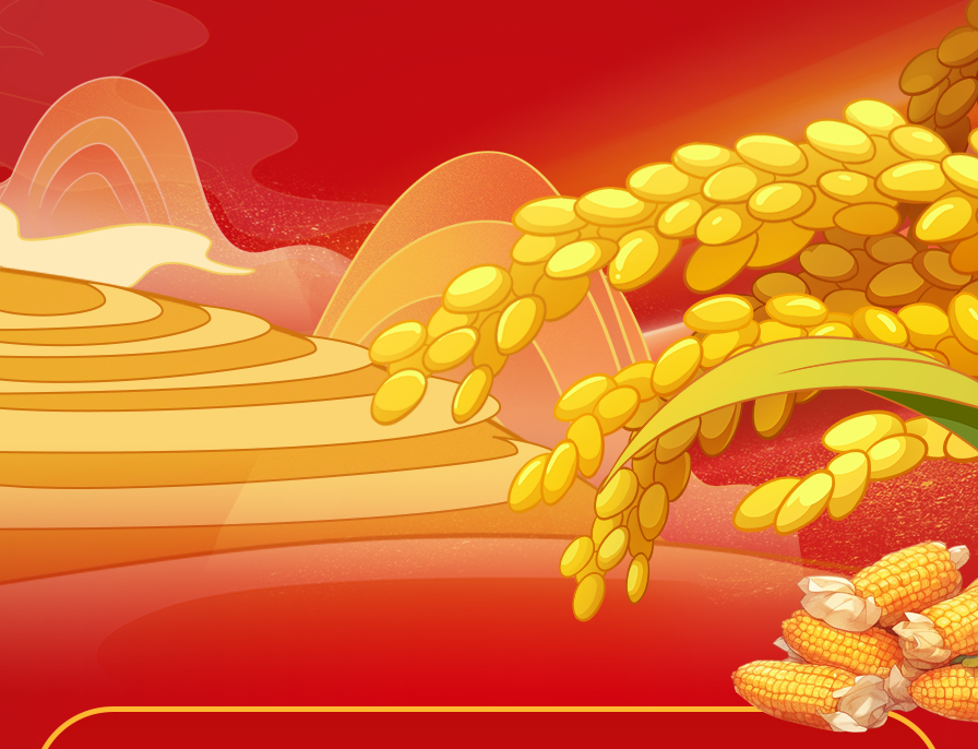 “十五五”开局之年，“三农”工作这样干！