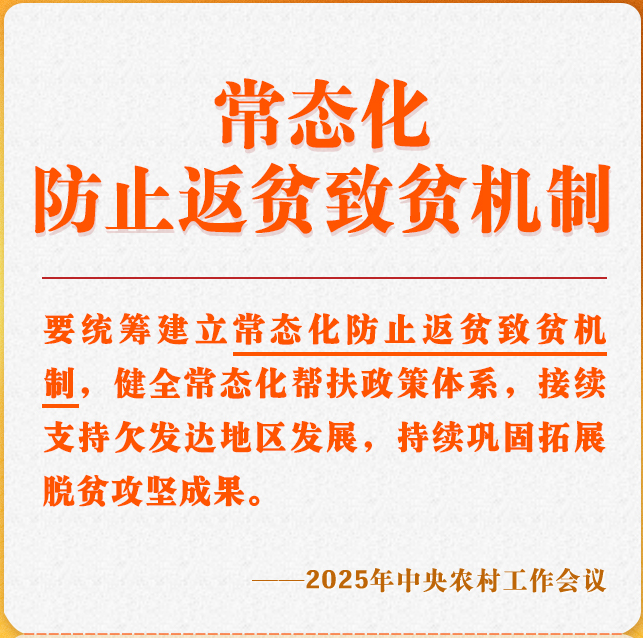 中央农村工作会议关键提法之六：常态化防止返贫致贫机制