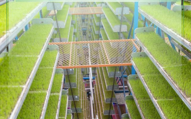 向新向智！2025年我国农业现代化水平持续提升