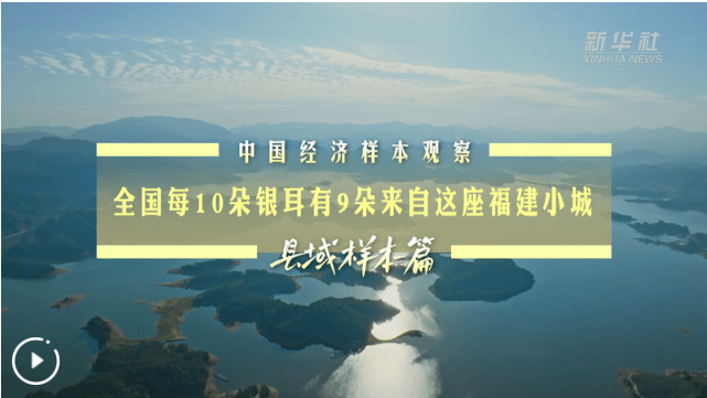 中国经济样本观察·县域样本篇丨全国每10朵银耳有9朵来自这座福建小城