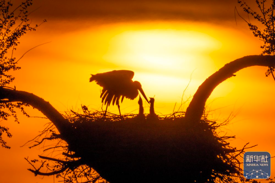 2025年新华社年度照片·国内新闻