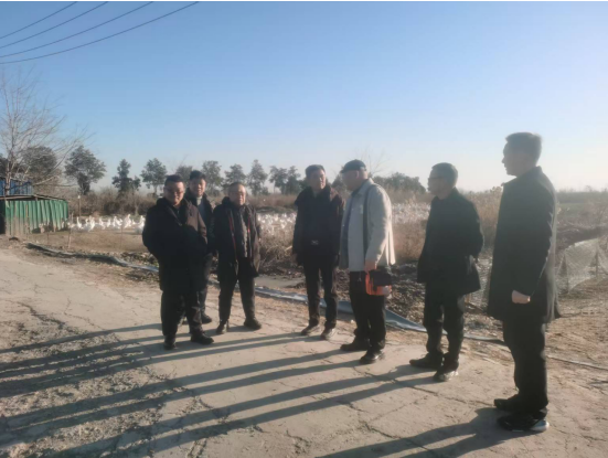 赋能生态养殖 打造振兴标杆——乡村振兴网赴扬州江都调研指导三花鹅产业高质量发展