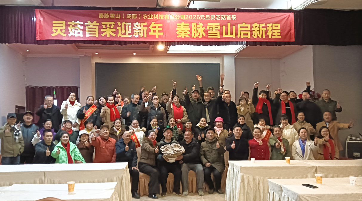 灵芝菇喜获丰收，秦脉雪山农业科技开启健康产业新篇章