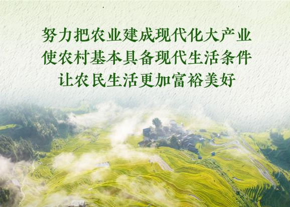 2026年中央一号文件发布