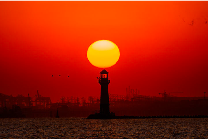 新春走基层丨在长江口遇见“新春消费潮”