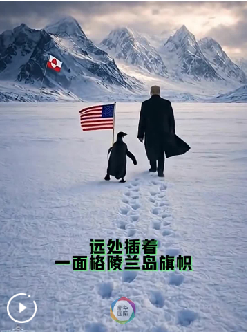 格陵兰岛有企鹅？当地居民反应亮了！