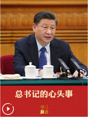 学习新语·两会｜总书记的心头事