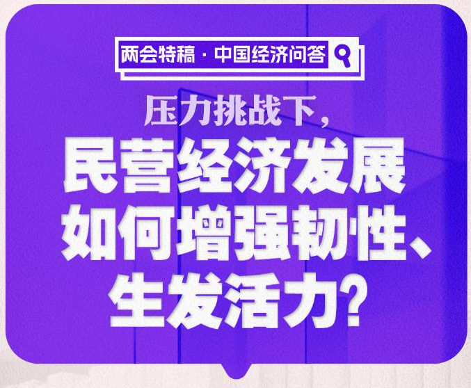 两会特稿·中国经济问答丨压力挑战下，民营经济发展如何增强韧性、生发活力？