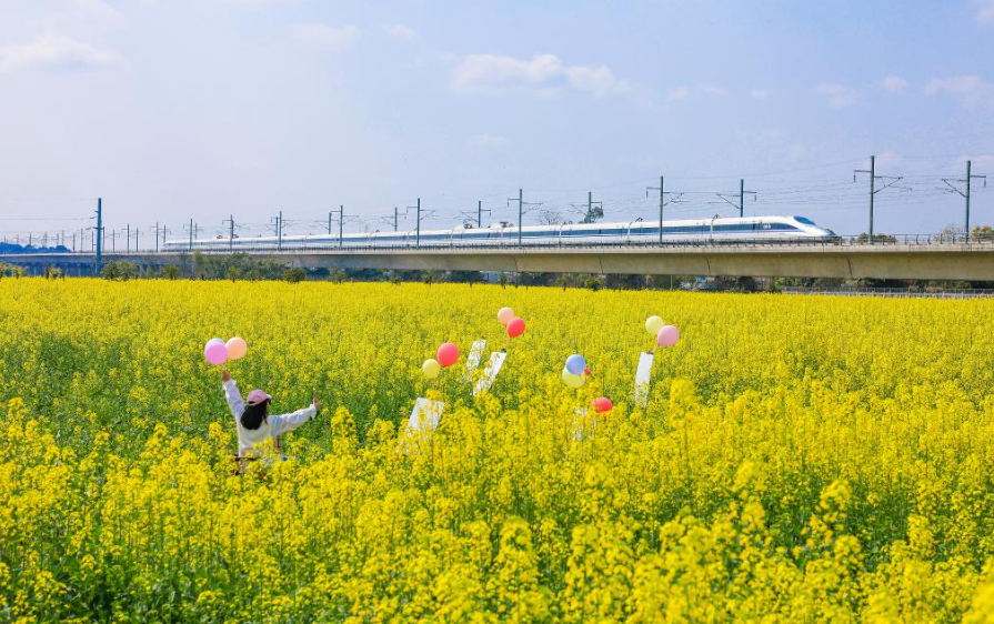 两会特稿丨“让绿色发展真正惠及世界每个地方”——中国携手世界共绘可持续发展新蓝图