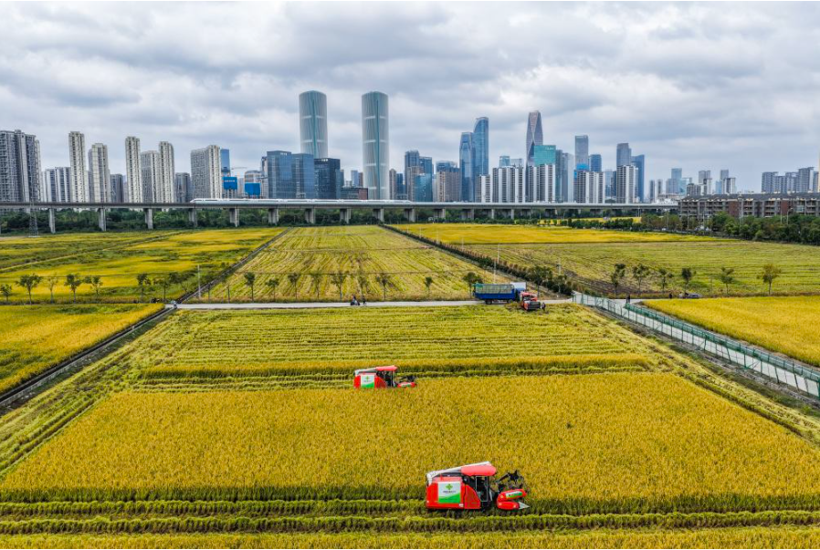 何以铸就欣欣向荣的中国——2026年全国两会世界观察