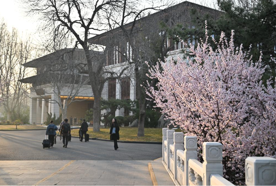 中国发展的确定性振奋世界