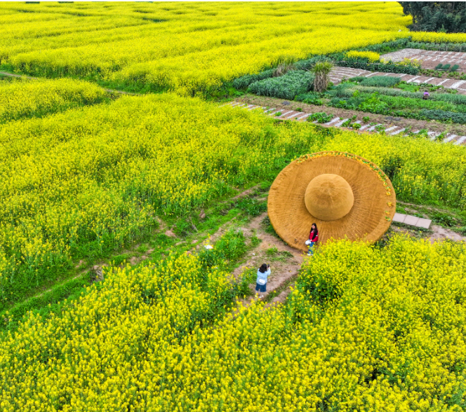 春日赏花地图上新，共赴一场春日之约