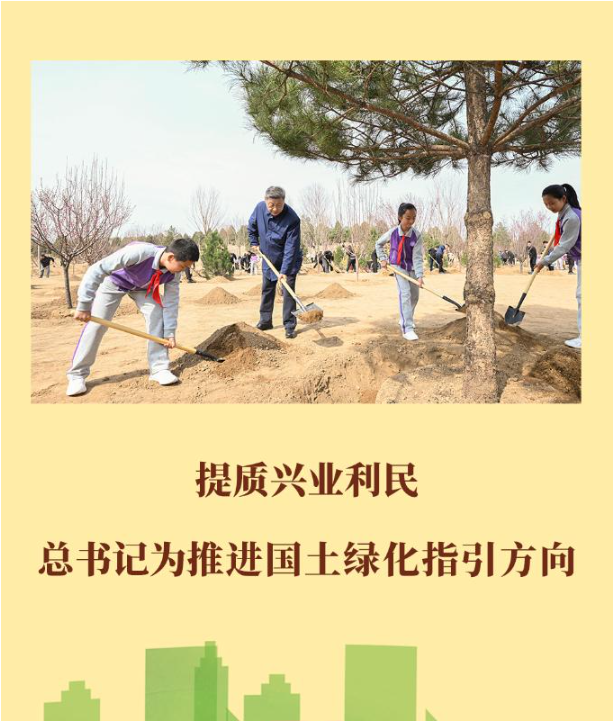 第一观察 | 提质兴业利民，总书记为推进国土绿化指引方向