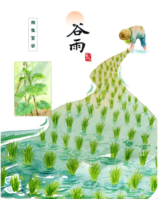 谷雨时节话“祛湿”