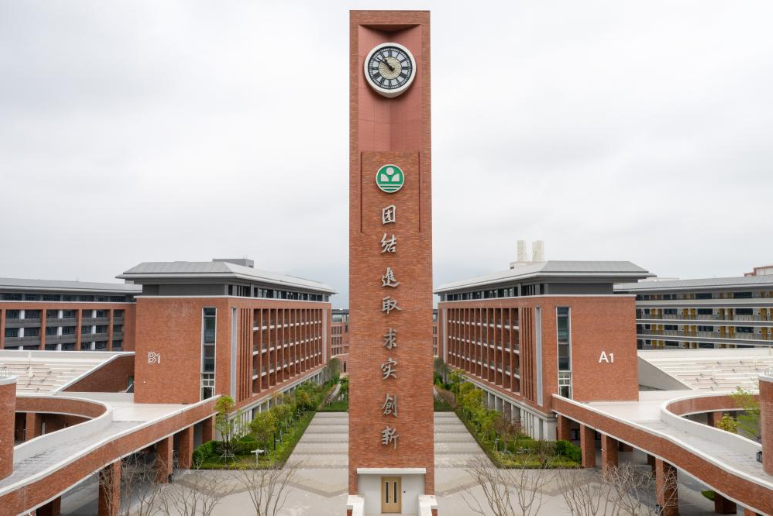 中国探索共同富裕新路径