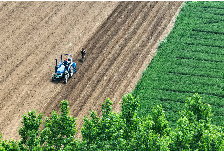 农业法大修四大看点