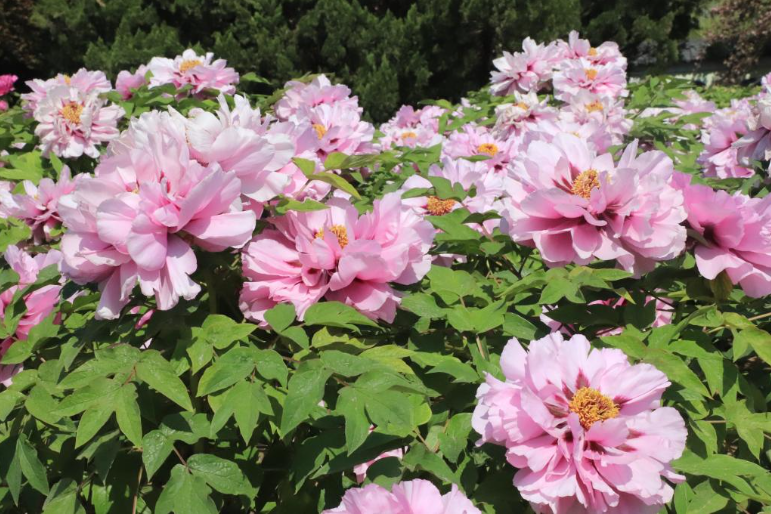 谷雨：山海之间春意浓