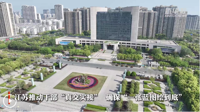 江苏推动干部“真交实接” 确保“一张蓝图绘到底”
