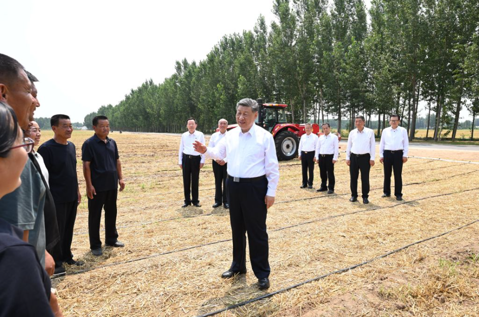 记者手记：根脉在大地上，力量在人民中