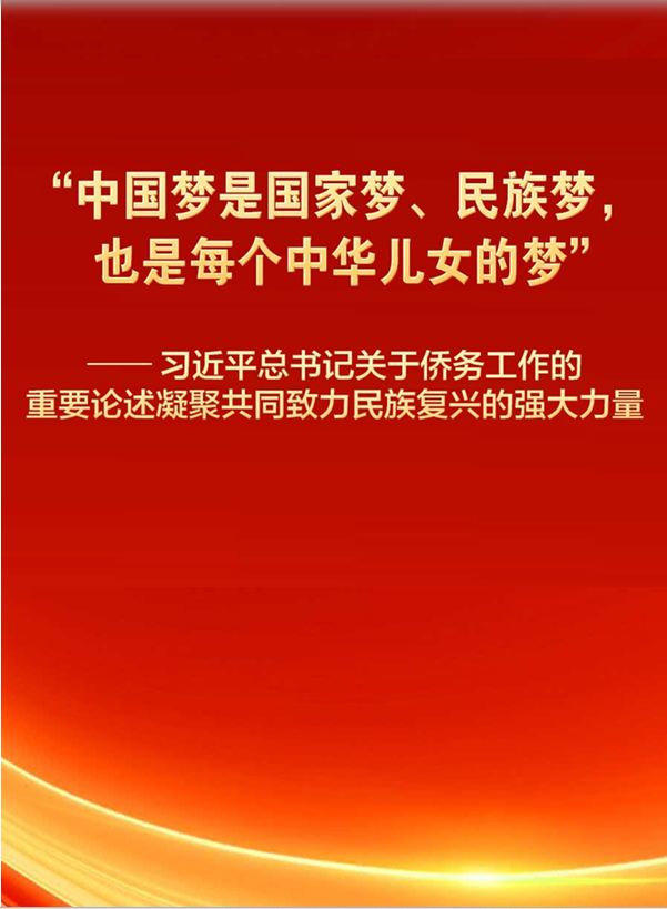   近平总书记重要论述凝聚共同致力民族复兴强大力量