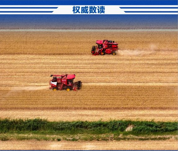 夏粮首破3000亿斤，农业农村经济保持稳中向好