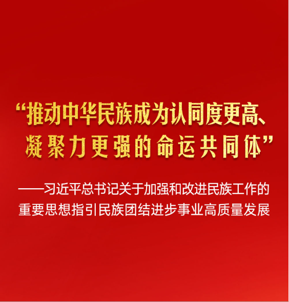 习近平总书记指引民族团结进步事业高质量发展