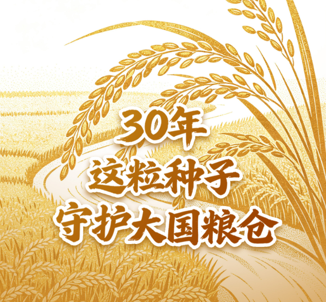 30年，这粒种子守护大国粮仓
