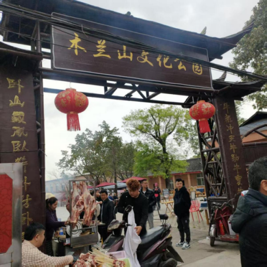 春龙抬首兴百业 仁爱志愿润文脉——成都新都区木兰集萃园二月二大庙会启幕