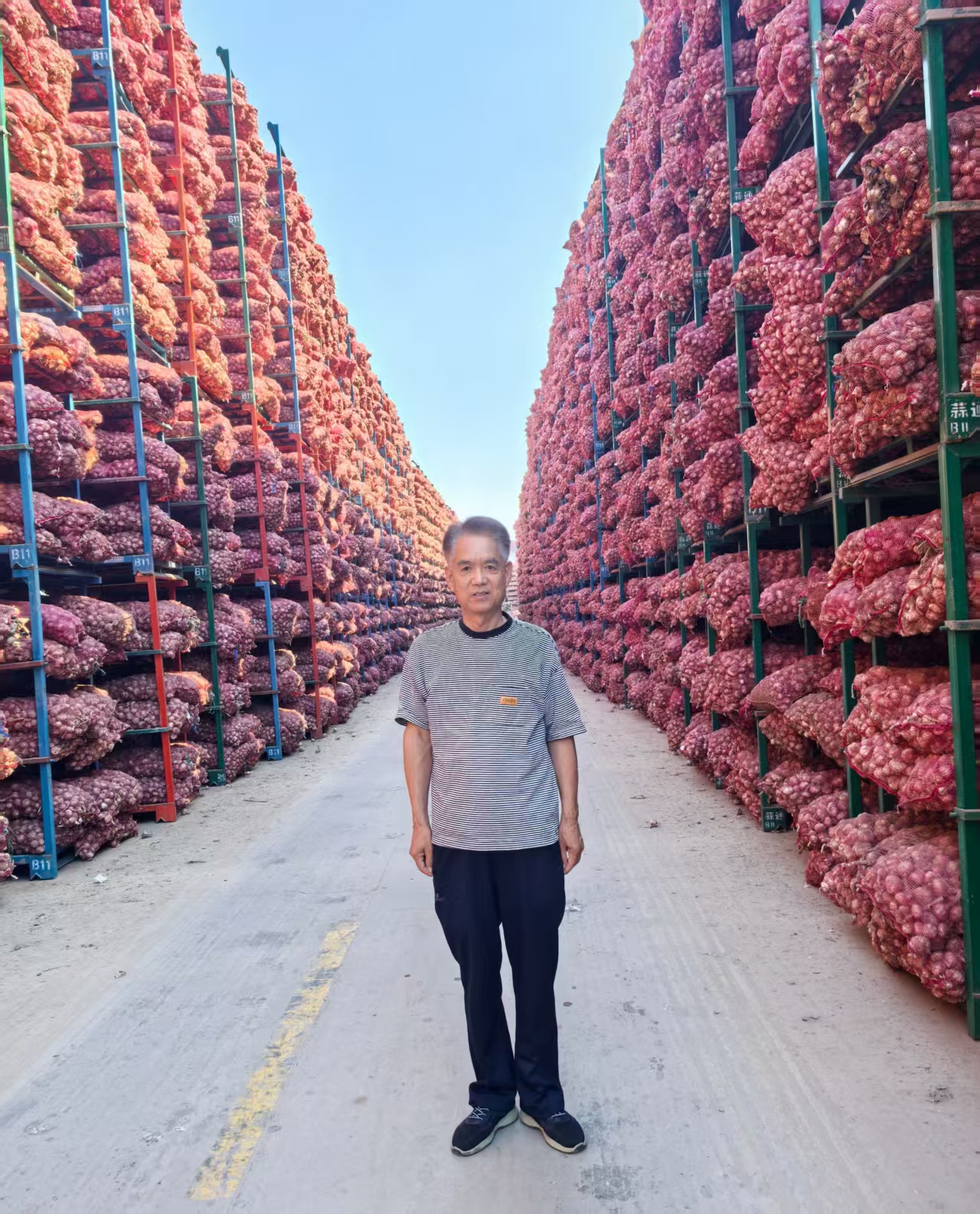 粒金乡蒜 香飘天地间——参观金乡大蒜市场随感