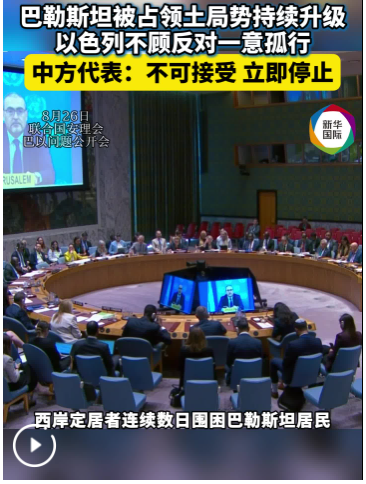 巴勒斯坦被占领土局势持续升级，中国代表发声