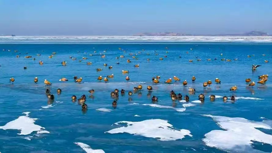 活水守瀚海 生态系家国 记沙漠明珠红崖山水库映照百年初心与民勤风骨