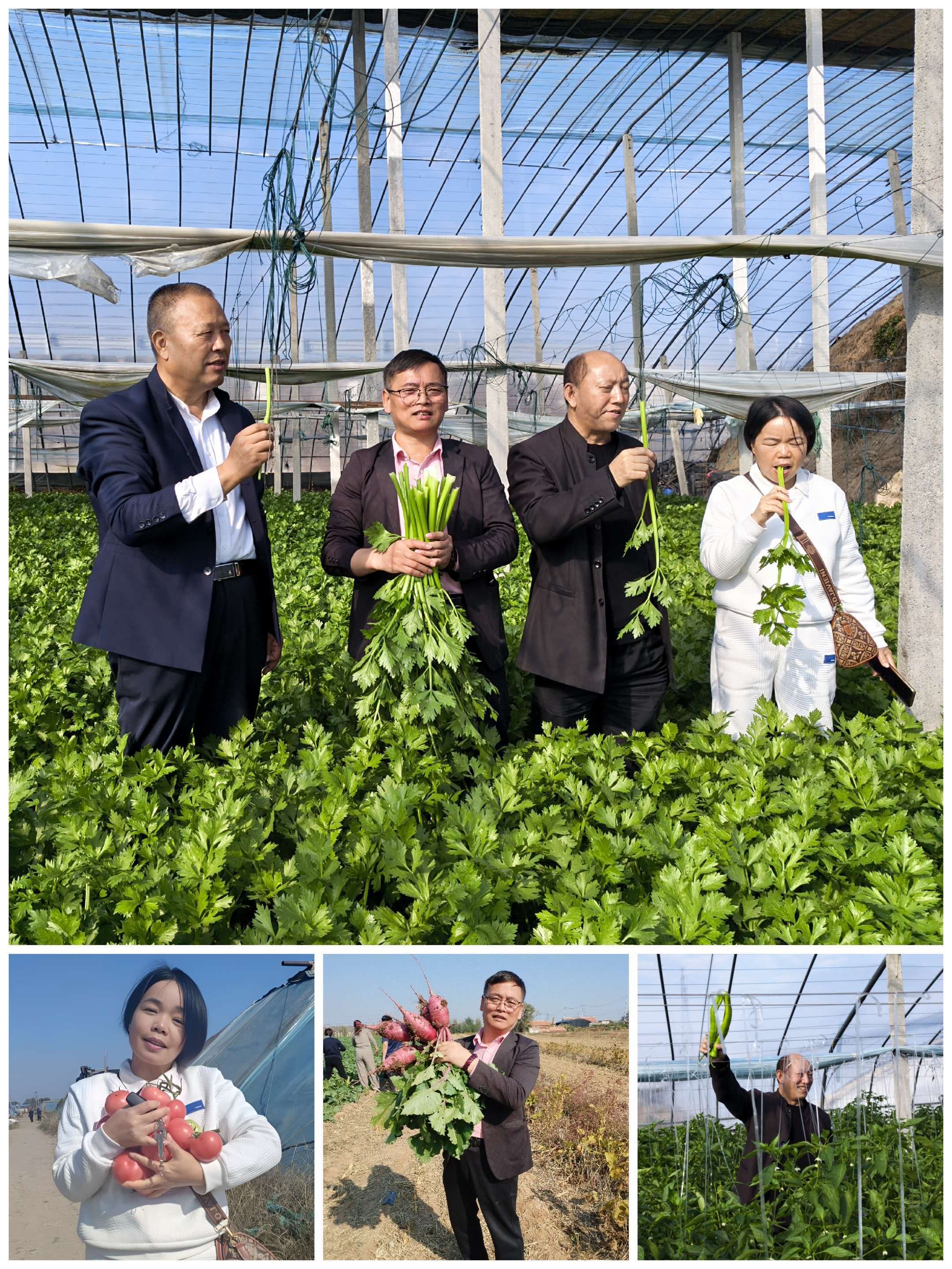 中国农业即将告别农药、化肥/零农残种植模式落地，探索农业绿色转型新路径