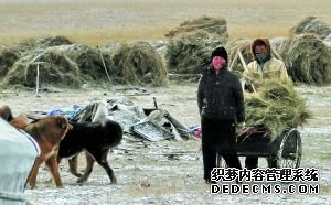 大城小事(组图)