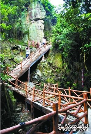 自驾好逍遥(组图)