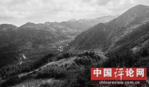 重庆5.7亿国有林场只卖百万 20多职工绝食抗议