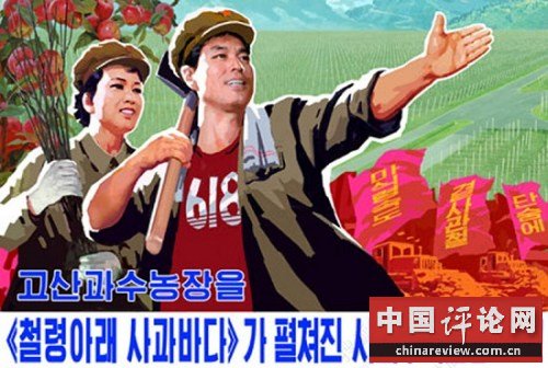 苹果海