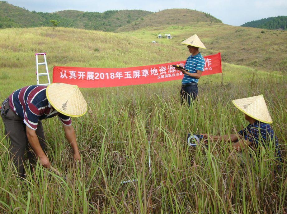 ؿչ2018ݵԴ鹤