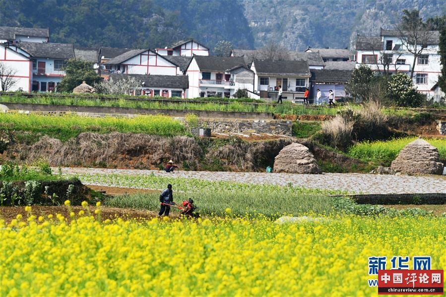 （在习近平新时代中国特色社会主义思想指引下——新时代新作为新篇章·习近平总书记关切事·图文互动）（1）确保不误农时，保障夏粮丰收——各地抓好春耕生产在行动