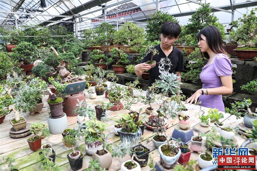 （走向我们的小康生活·图文互动）（9）水清岸美产业兴——江苏南通小康路上的绿色实践