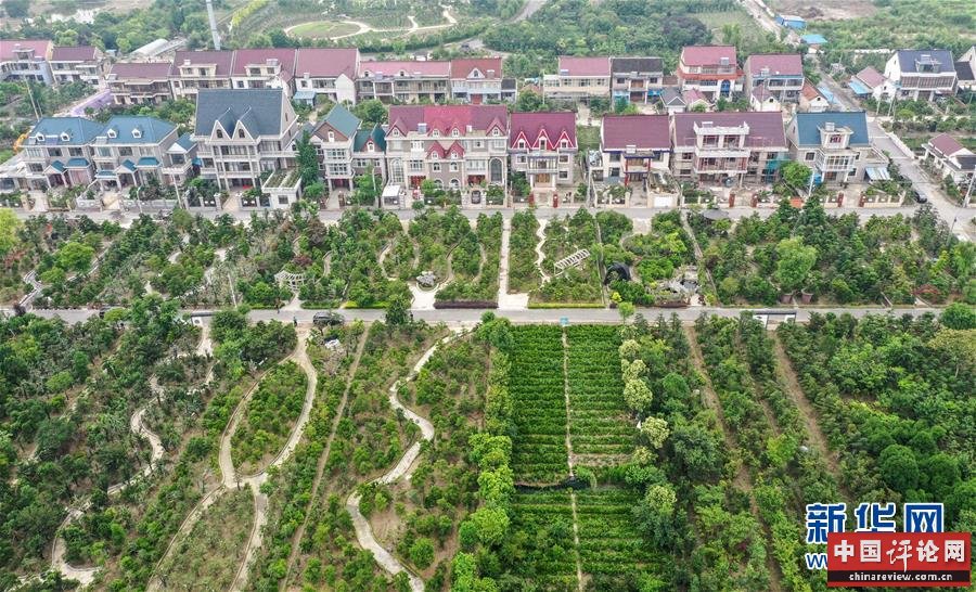 （走向我们的小康生活·图文互动）（6）水清岸美产业兴——江苏南通小康路上的绿色实践