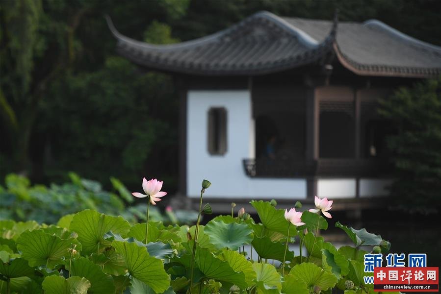 （新华全媒头条·图文互动）（7）钱塘今朝更繁华——高水平小康的“杭州答卷”