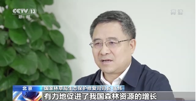 累计175亿人次参与 植树超780亿株