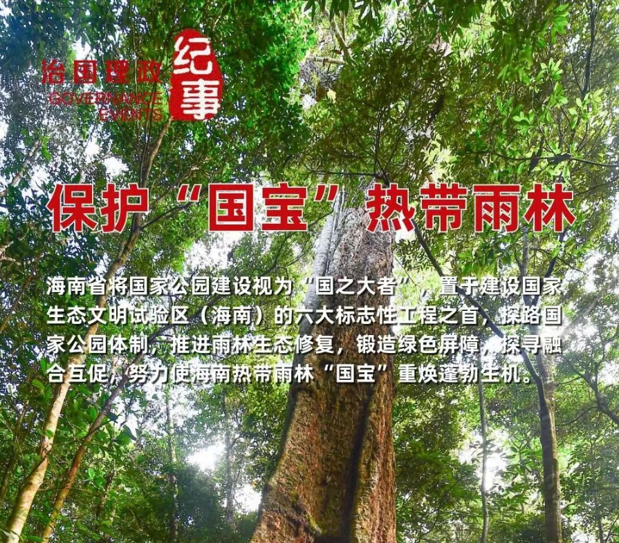 瞭望·治国理政纪事丨保护“国宝”热带雨林
